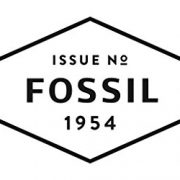 Fossil-ME3110-Reloj-de-Hombres-0-0